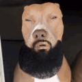 Avatar utilizator